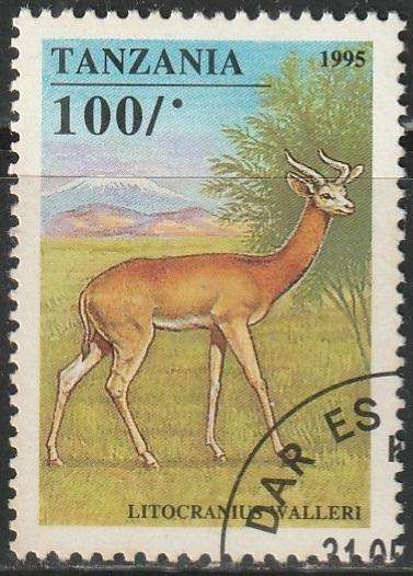 THEMATIC ANIMALS TANZANIA VFU