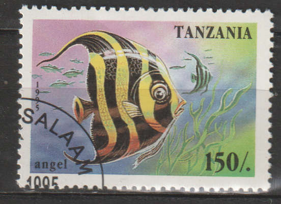THEMATIC MARINE LIFE/FISH CTO