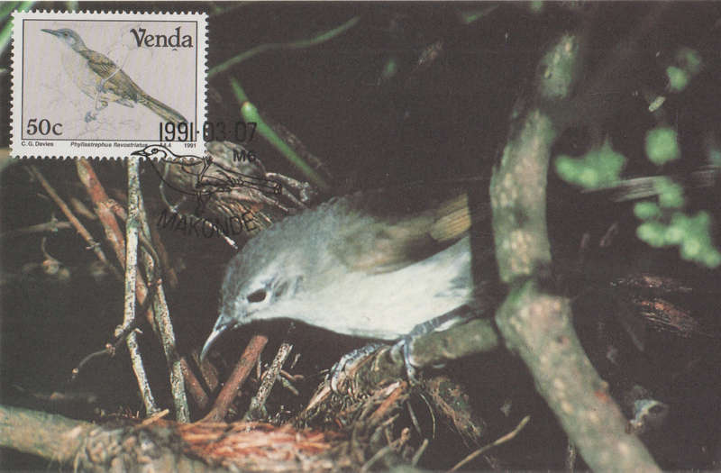 MINT VENDA POST CARD/MAXI CARD