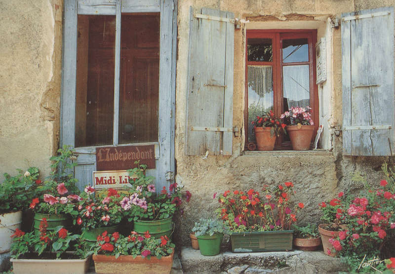 MINT POST CARD