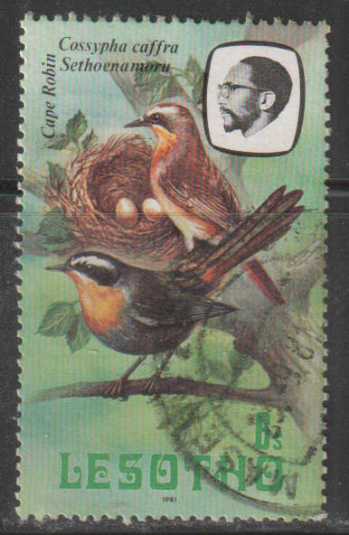 THEMATIC BIRDS LESOTHO ULH