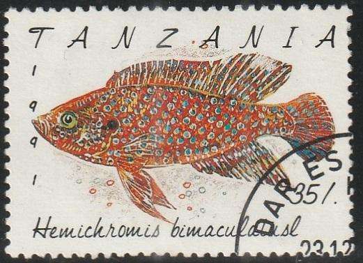 TANZANIA 1991 Fish VFU SG 1139