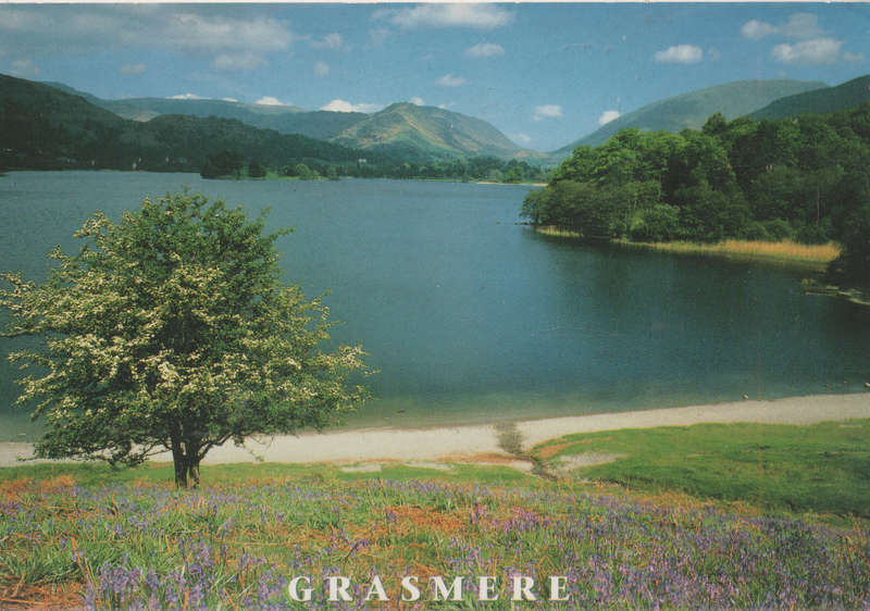 MINT POST CARD