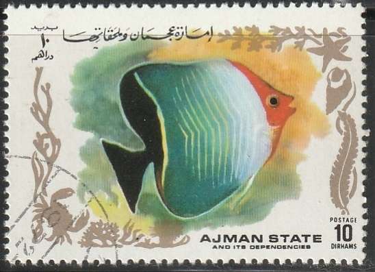 THEMATIC FISH AJMAN ULH