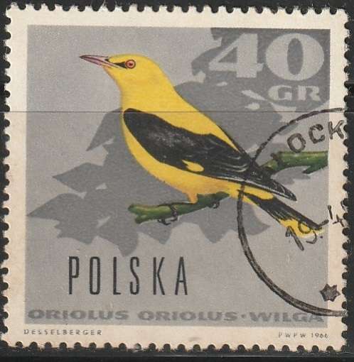 THEMATIC BIRDS POLAND ULH