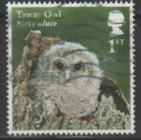 ENGLAND 2018 Birds - Owls UNH SG 4089