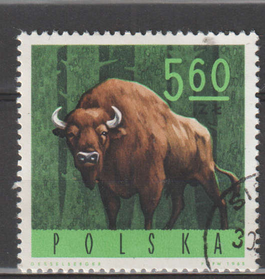 THEMATIC ANIMALS POLAND ULH