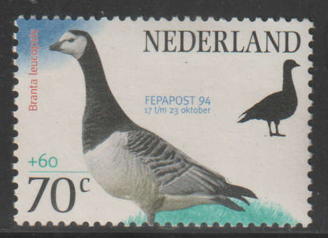 THEMATIC BIRDS NETHERLANDS UMM