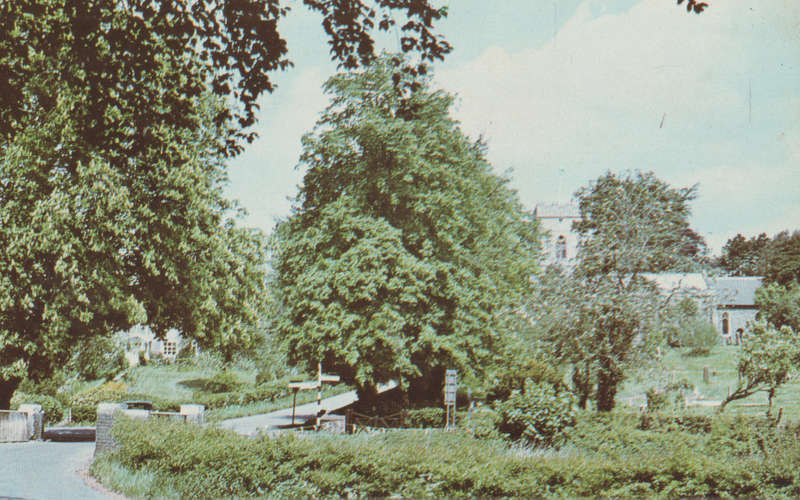 USED POST CARD