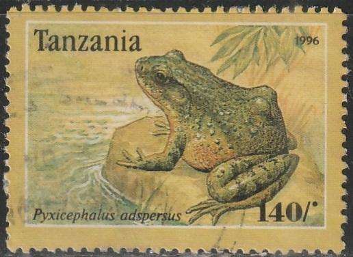 THEMATIC FROGS TANZANIA VFU