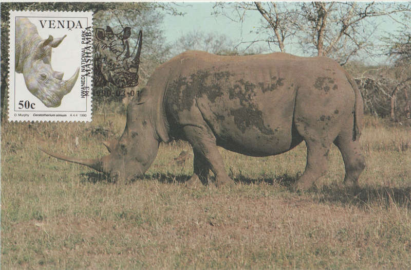 MINT VENDA POST CARD/MAXI CARD