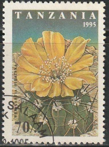 THEMATIC FLOWERS TANZANIA VFU