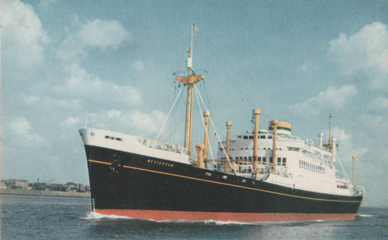 MINT POST CARD MV WESTERDAM
