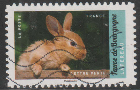 THEMATIC FARM ANIMALS FRANCE ULH