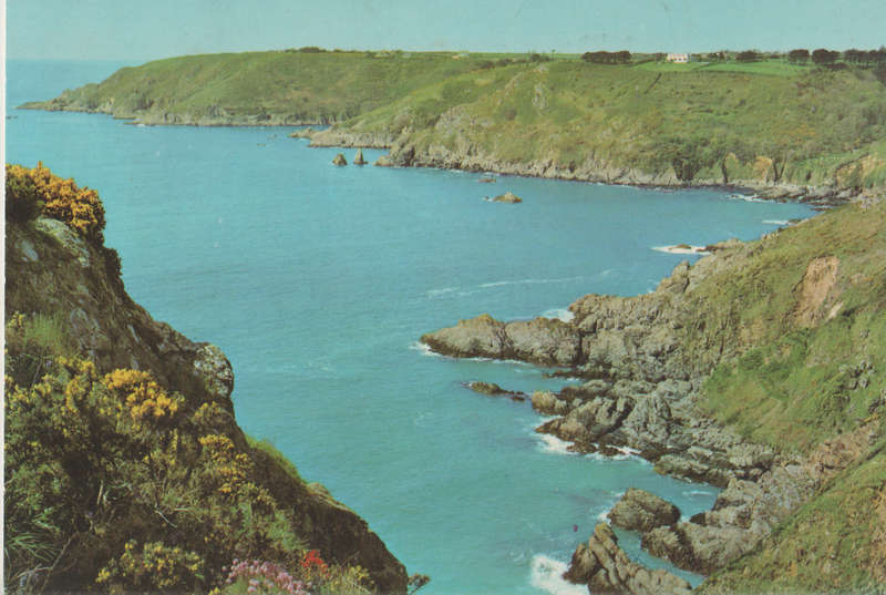 MINT POST CARD