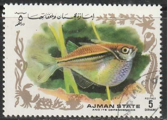 THEMATIC FISH AJMAN ULH