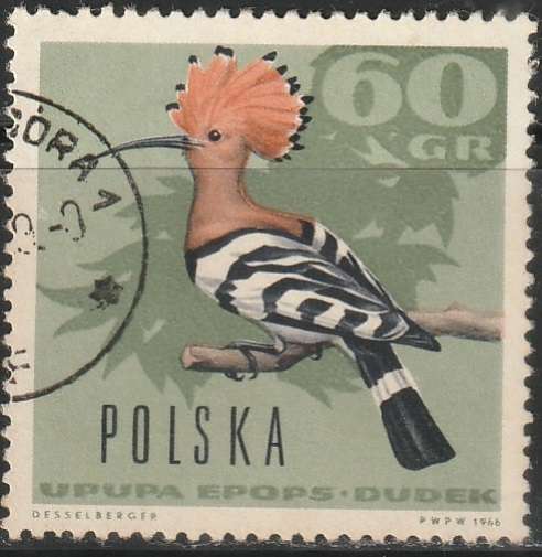 THEMATIC BIRDS POLAND ULH
