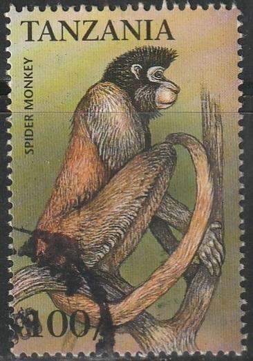 THEMATIC ANIMALS TANZANIA VFU