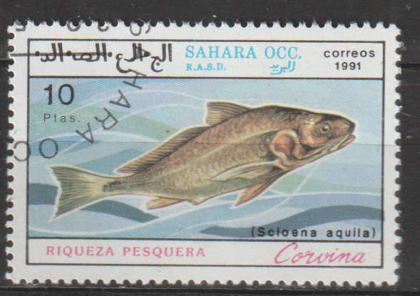 THEMATIC MARINE LIFE/FISH SAHARA CTO