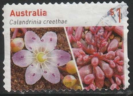 AUSTRALIA 2017 Australian Succulents UNH SG 4751