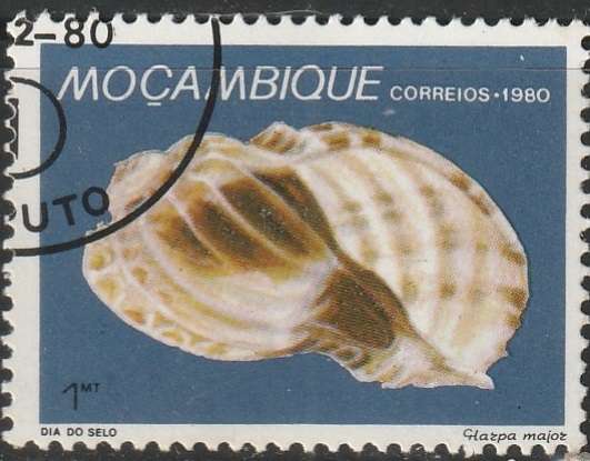 THEMATIC SHELLS MOZAMBIQUE ULH