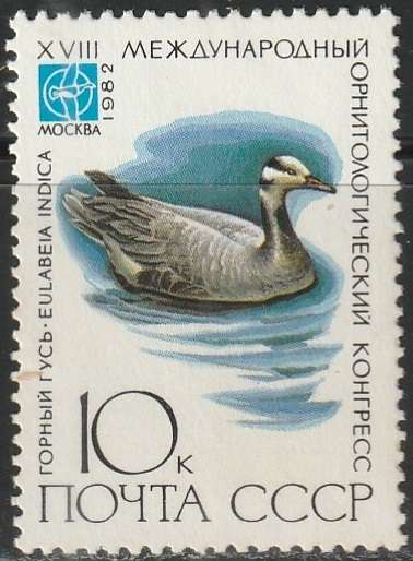THEMATIC BIRDS RUSSIA UNH