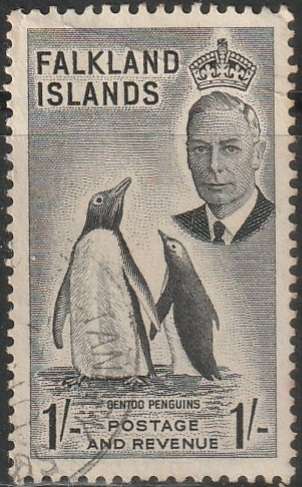 THEMATIC BIRDS FALKLAND ISLANDS ULH