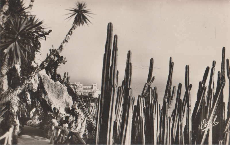 MINT POST CARD MONACO