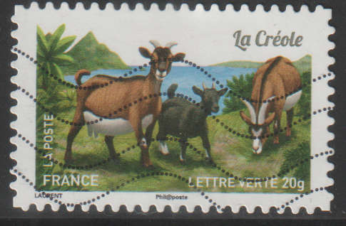 THEMATIC FARM ANIMALS FRANCE ULH