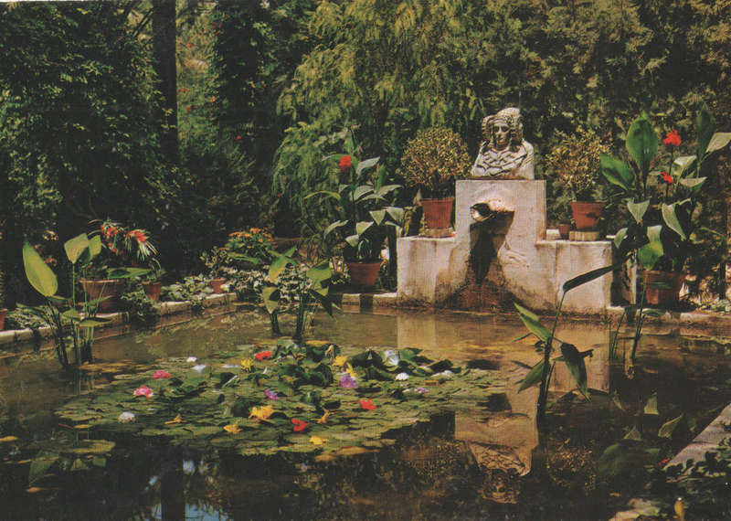 MINT POST CARD