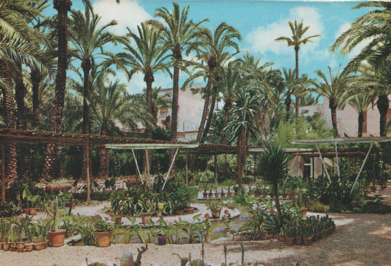 MINT POST CARD