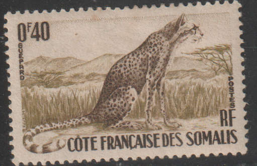 THEMATIC ANIMALS SOMALIA MM