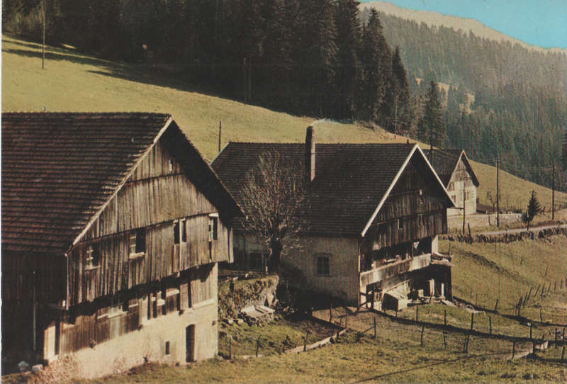 MINT POST CARD