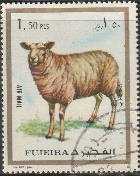 THEMATIC FARM ANIMALS FUJEIRA ULH