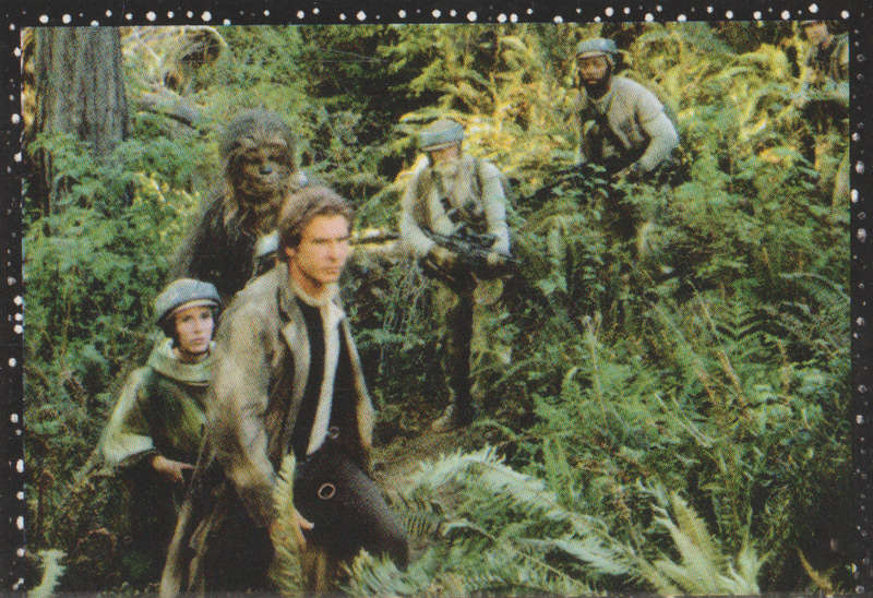 PANINI STAR WARS COLLECTABLE STICKER #135
