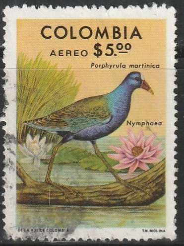 THEMATIC BIRDS COLOMBIA ULH