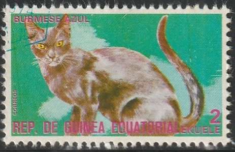 THEMATIC CATS EQUATORIAL GUINEA CTO