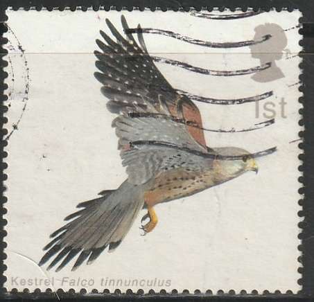 ENGLAND 2003 Birds - Barn Owl & Common Kestrel ULH SG 2333