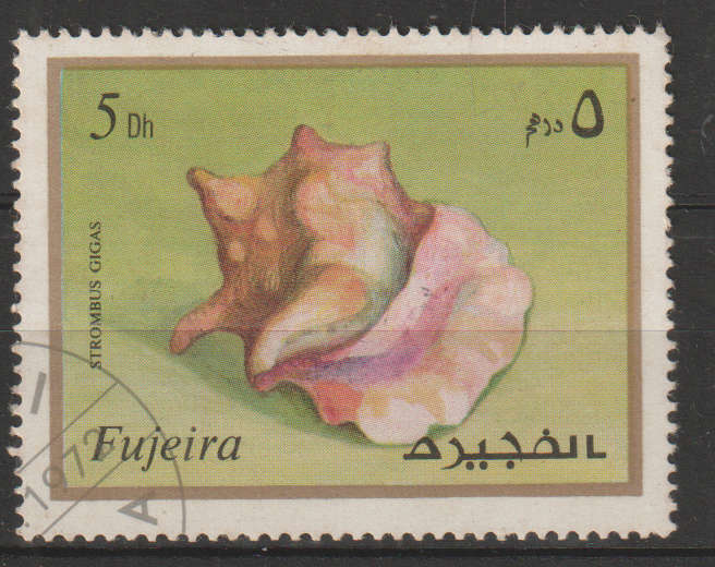 THEMATIC MARINE LIFE FUJEIRA ULH