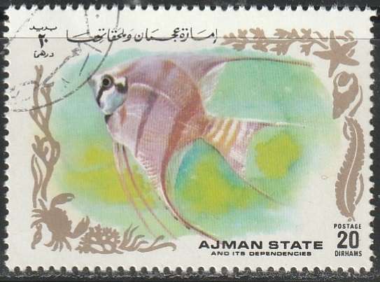 THEMATIC FISH AJMAN ULH
