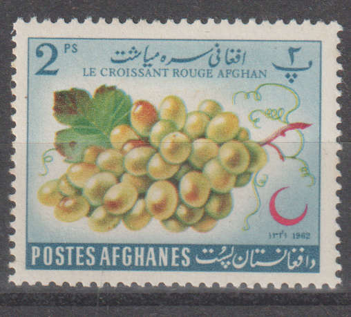 THEMATIC FLORA AFGANISTAN MM
