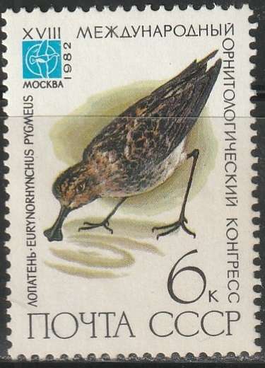 THEMATIC BIRDS RUSSIA UNH