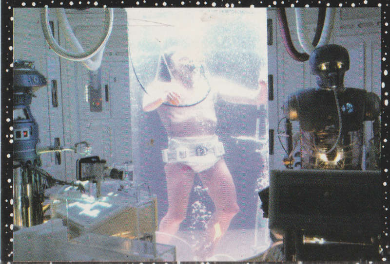PANINI STAR WARS COLLECTABLE STICKER #52