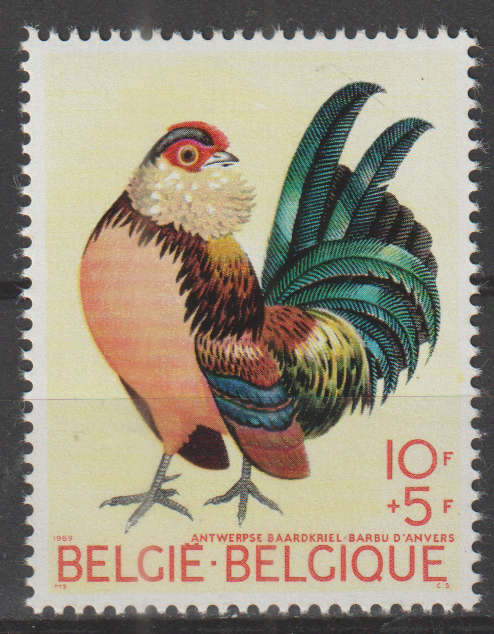 BELGIUM 1969 Birds - Chicken UMM SG 2135