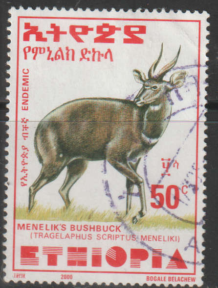THEMATIC ANIMALS ETHEOPIA ULH