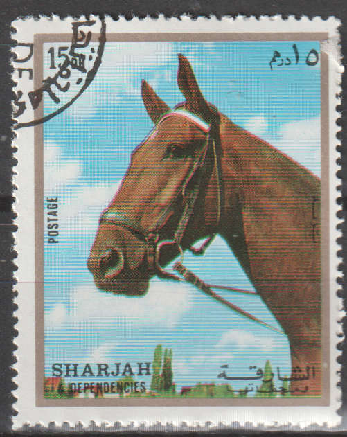 THEMATIC HORSES SHARJAH CTO