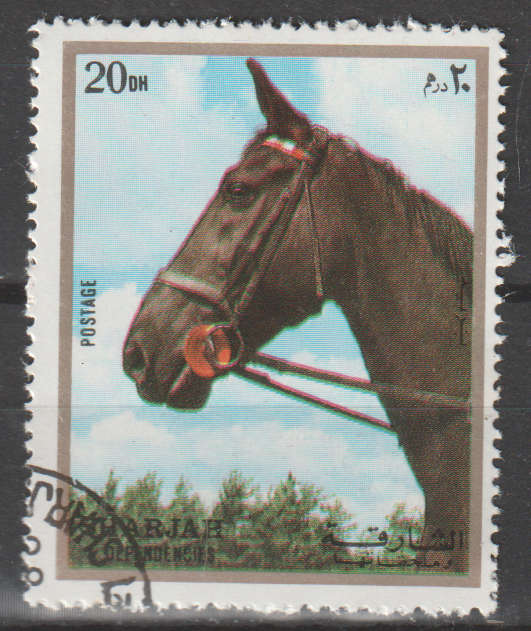 THEMATIC HORSES SHARJAH CTO
