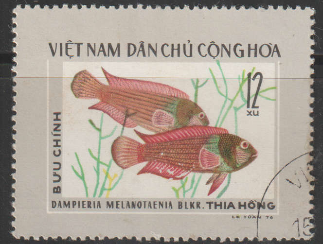 THEMATIC MARINE LIFE VIETNAM ULH