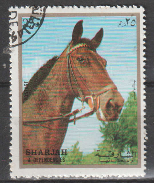 THEMATIC HORSES SHARJAH CTO