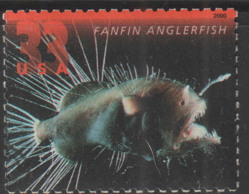 THEMATIC MARINE LIFE USA ULH